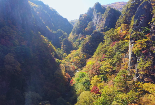 화면음악《황금산타령》