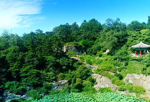 Moran Hill