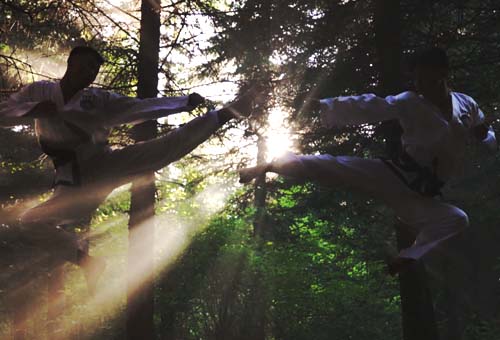 Hacer gala del ímpetu del país nativo de Taekwondo