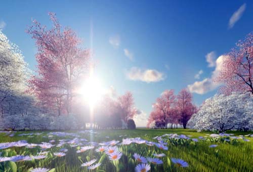 軽音楽『花咲く春をもたらそう』