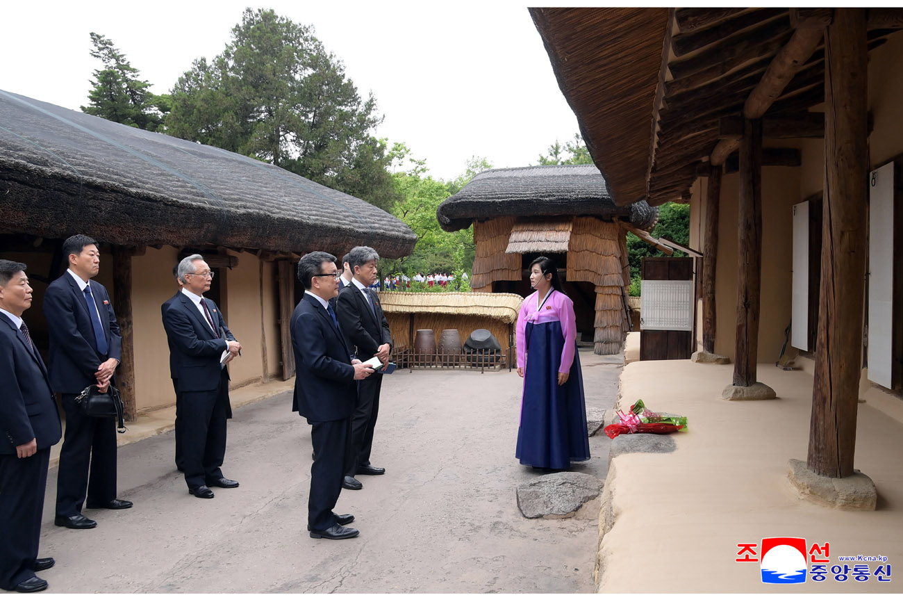 Group of Koreans in Japan visit Mangyongdae