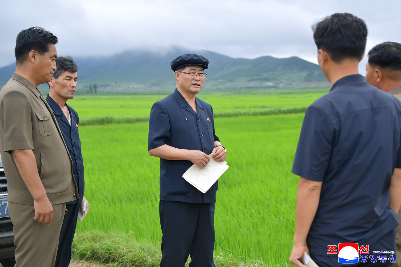DPRK Premier makes field survey of different units