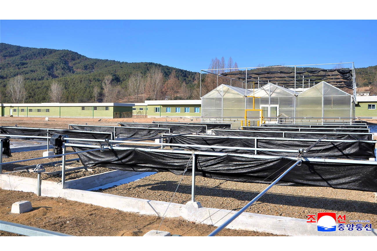 Kaesong Municipal Tree Nursery inaugurated