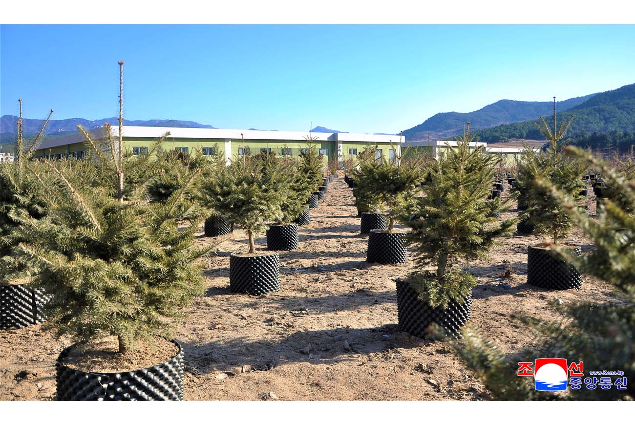 Kaesong Municipal Tree Nursery inaugurated