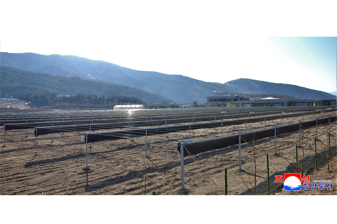 Kaesong Municipal Tree Nursery inaugurated