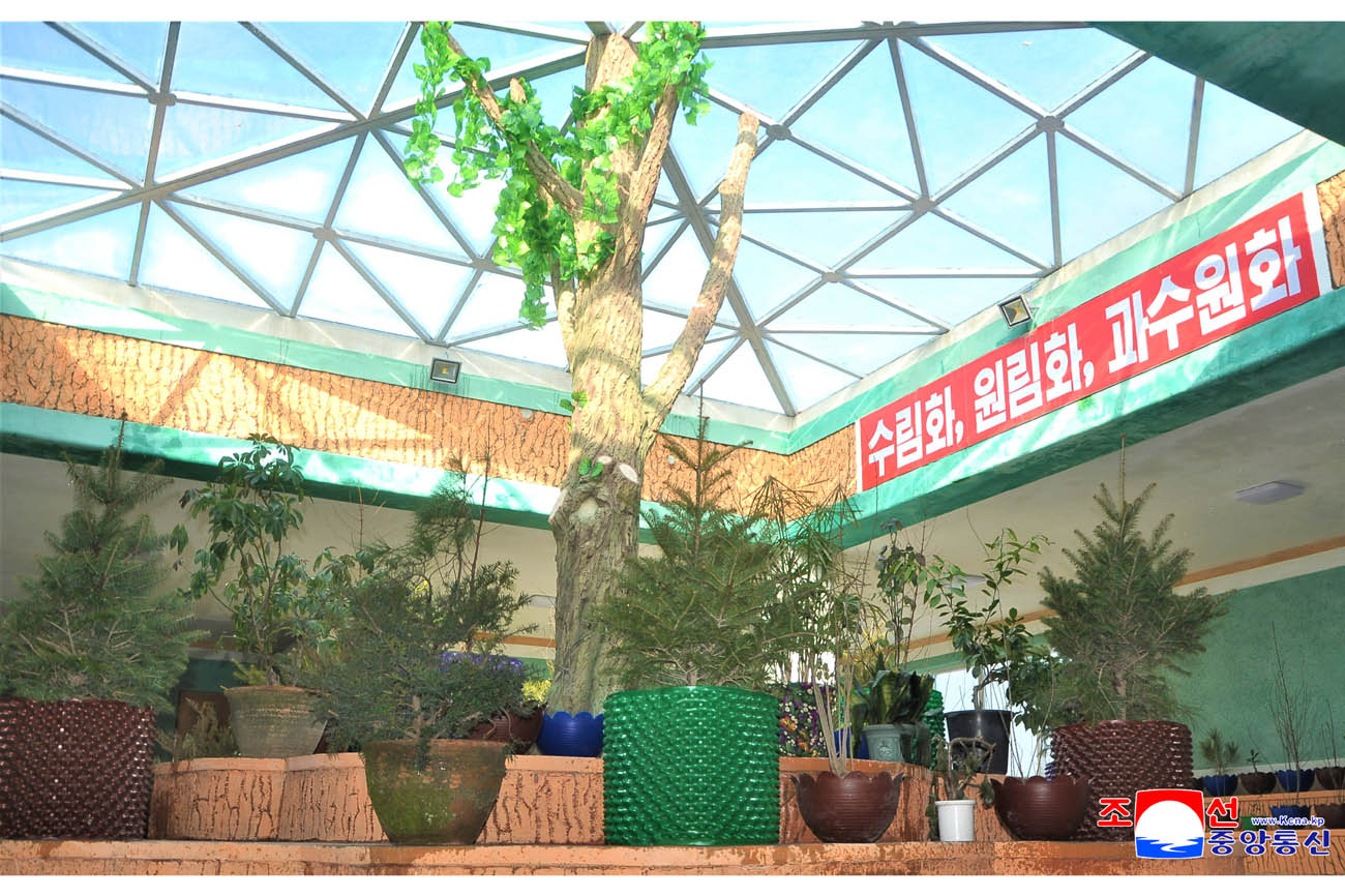 Kaesong Municipal Tree Nursery inaugurated