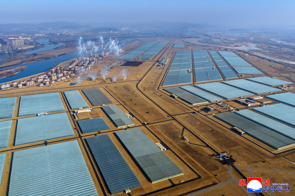 Торжественно прошла церемония завершения строительства Синичжуского тепличного комбината