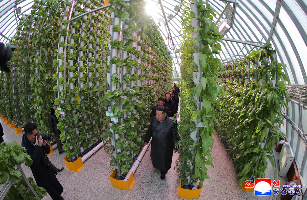 Торжественно прошла церемония завершения строительства Синичжуского тепличного комбината