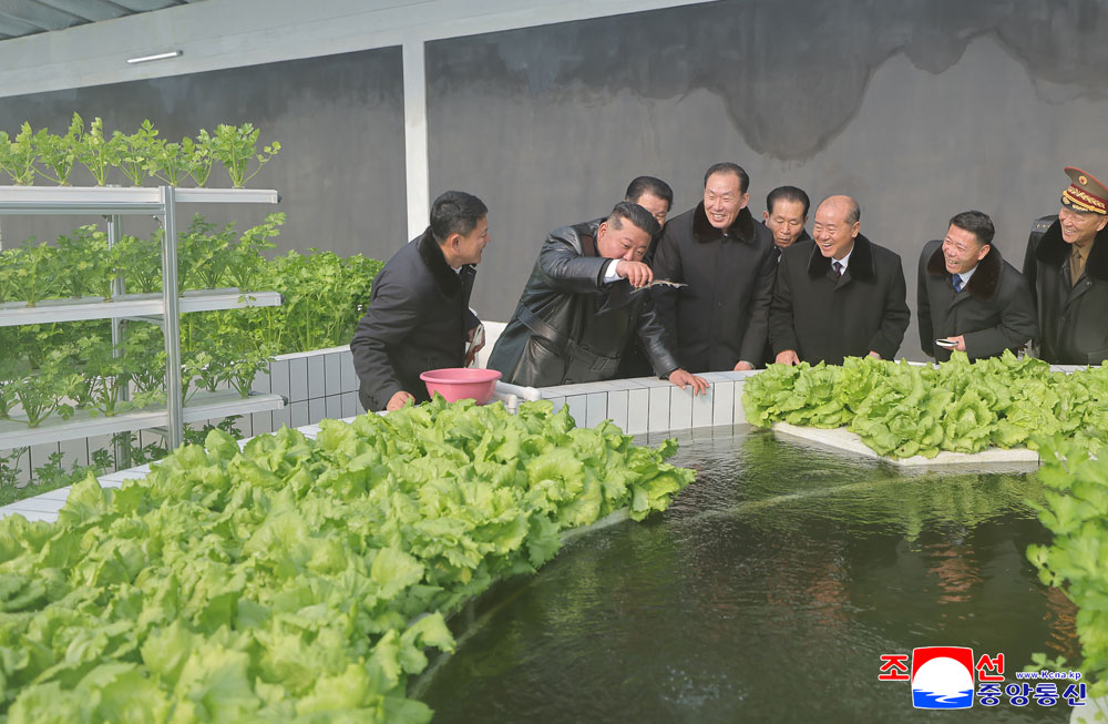 Торжественно прошла церемония завершения строительства Синичжуского тепличного комбината