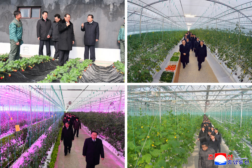 Торжественно прошла церемония завершения строительства Синичжуского тепличного комбината