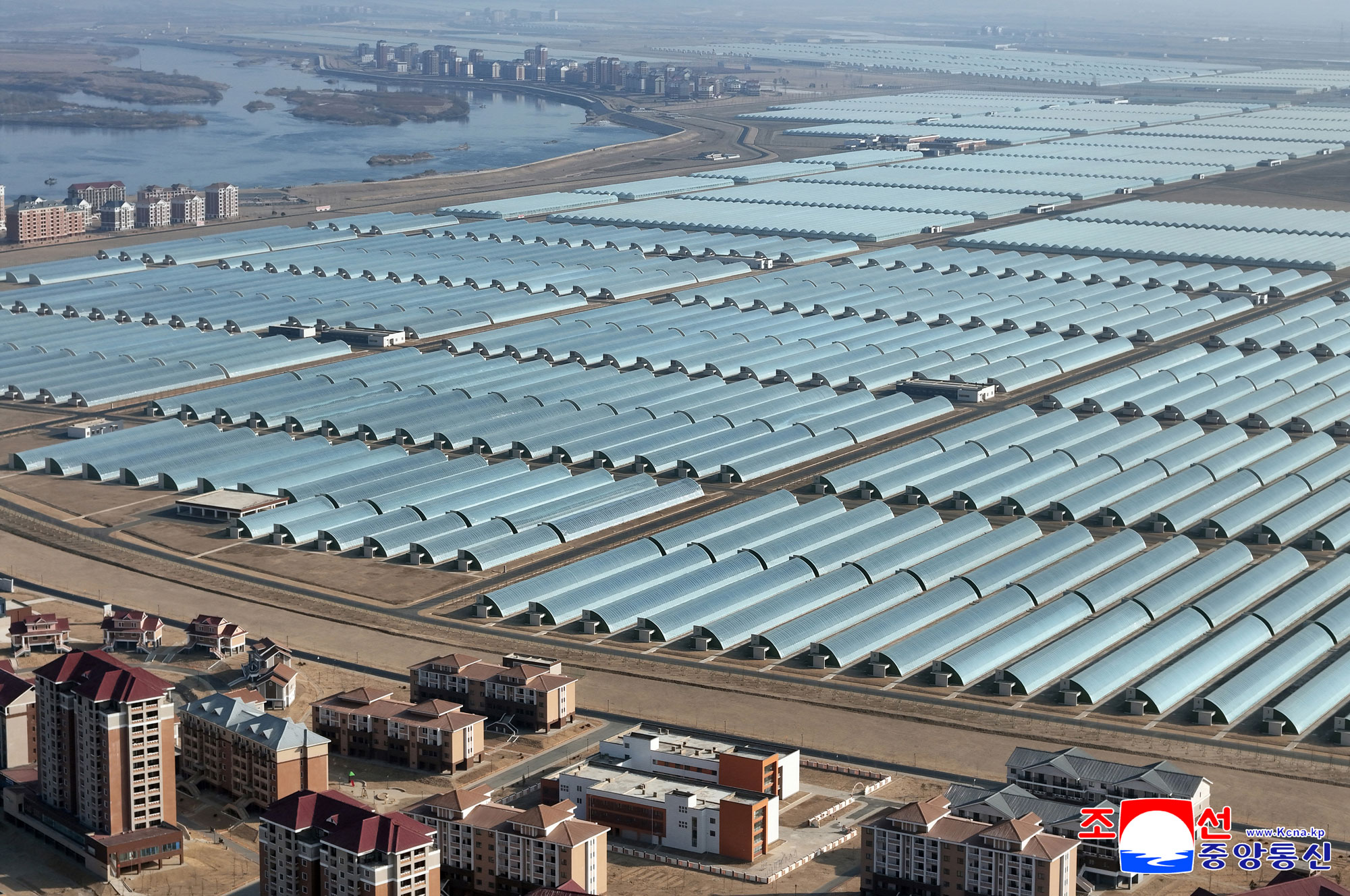 신의주온실종합농장 준공식 성대히 진행