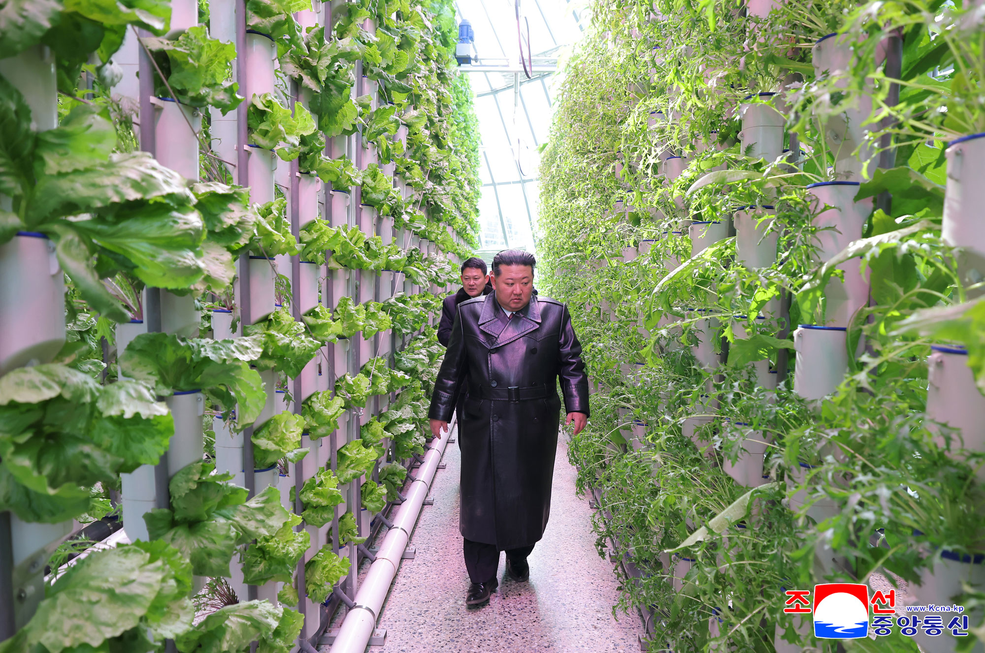 신의주온실종합농장 준공식 성대히 진행