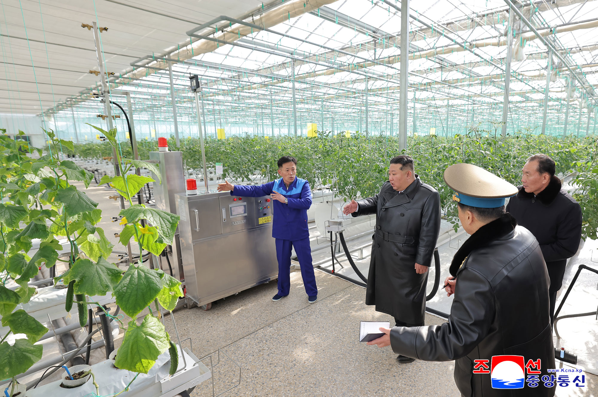 신의주온실종합농장 준공식 성대히 진행