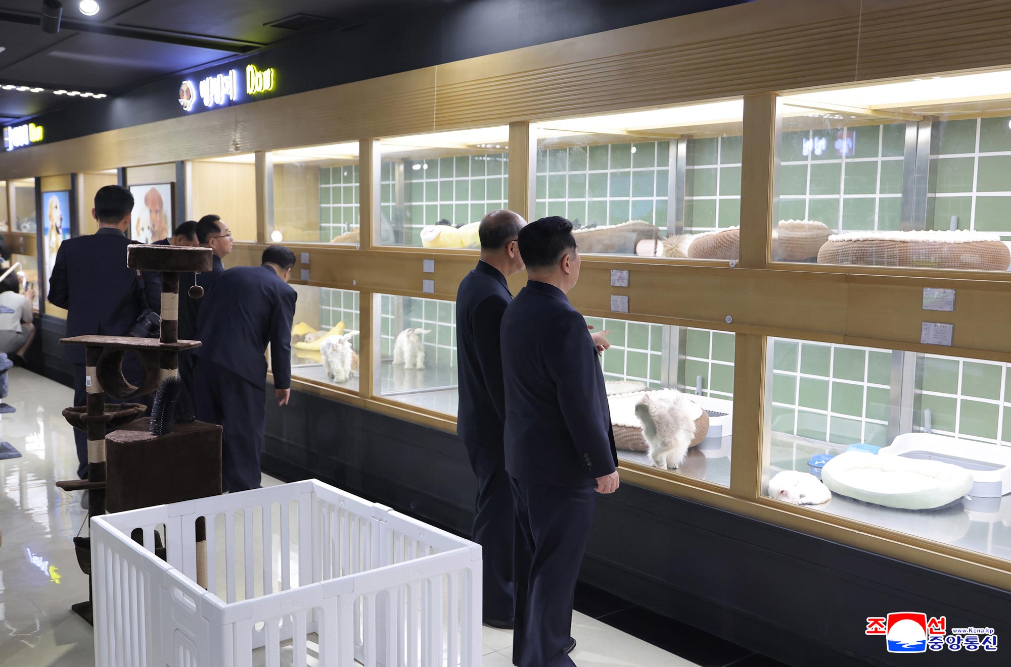 Respected Comrade Kim Jong Un inspects service facilities in fourth-stage district of Hwasong area nearing inauguration