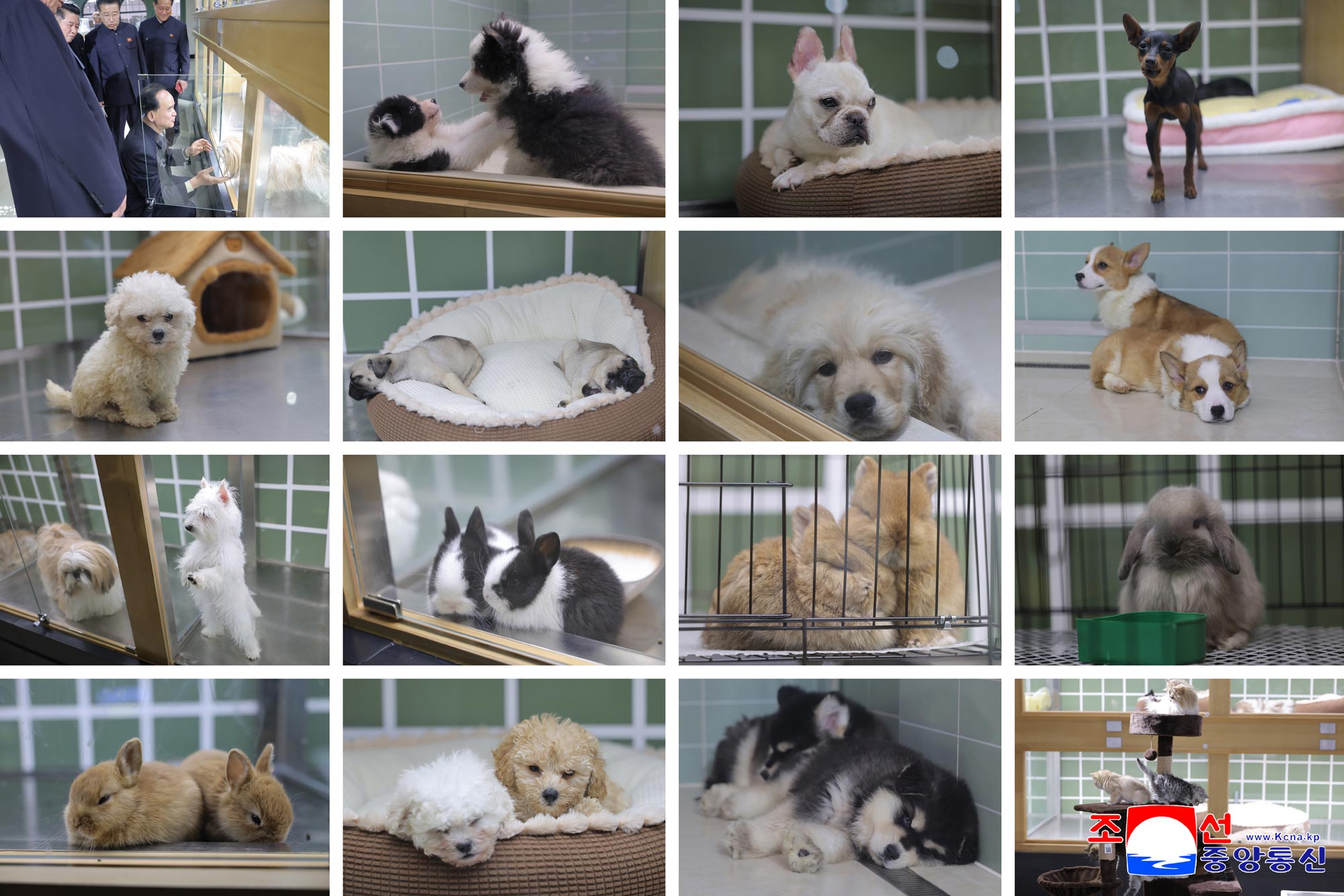 Respected Comrade Kim Jong Un inspects service facilities in fourth-stage district of Hwasong area nearing inauguration